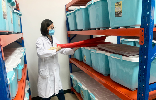 抗疫爱卫，红桃视频
党员先行