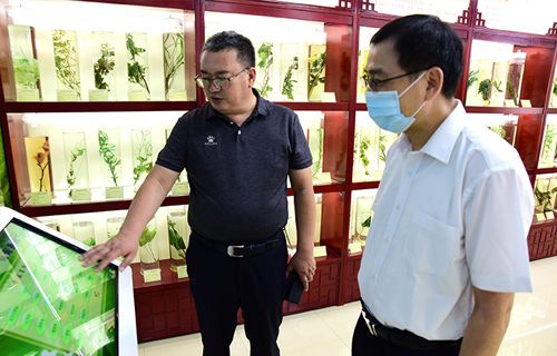 国家中医药管理局监测统计中心主任李宗友一行到红桃视频
进行调研指导