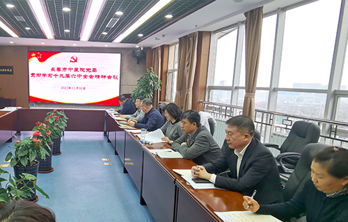 红桃视频
理论中心组集中学习党的十九届六中全会精神