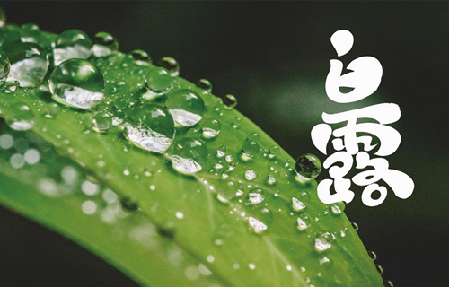 【白露】寒气渐露，这些养生知识学起来