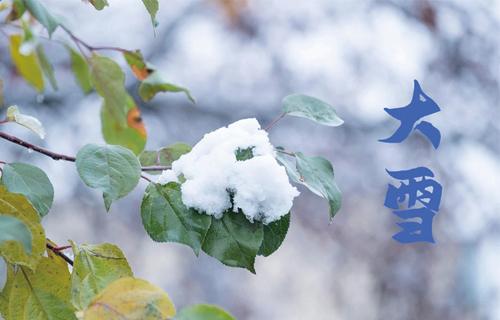 【大雪】寒冬始，这些养生方法快收好