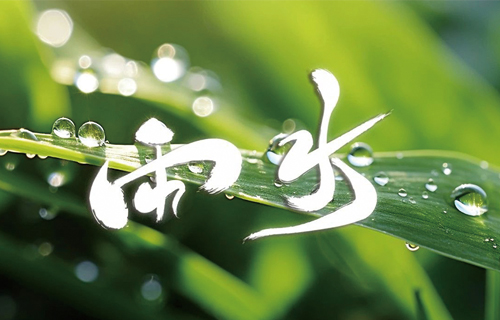 【雨水】润物细无声，中医提示您养生重在调脾胃、防湿邪
