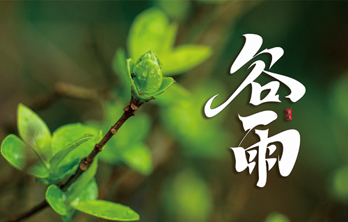 【谷雨】祛湿健脾，中医为您推荐养生干货→