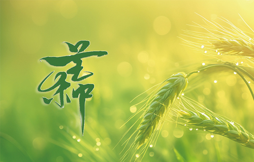 【芒种】盛夏始至湿热并重，给自己“种”下健康的种子