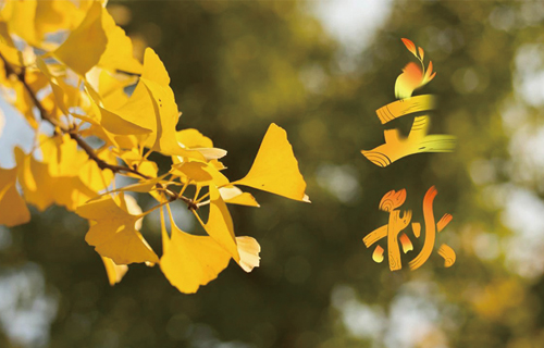 【立秋】阳气渐收，阴气渐长，这份养生攻略请您收好！