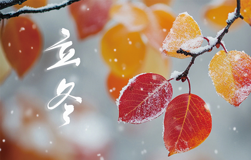 【立冬】邂逅初冬！您的冬季养生方案已上线~