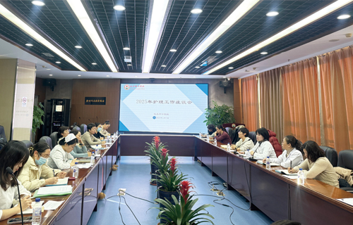 红桃视频
召开2024年下半年护理质控工作总结会及2025年护理工作座谈会