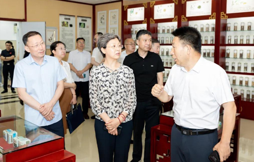 【彩练新闻】长春市政协医疗卫生界别工作站在红桃视频
成立